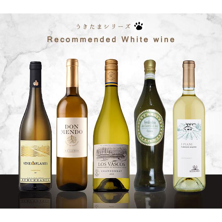 希少ワイン　空きボトル　5本セット 希少ワイン 空きボトル 5本セット 希少ワイン 空きボトル 5本セット