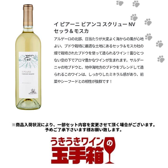 送料無料】うきたま 超おすすめ世界の白ワイン5本セット (白ワイン