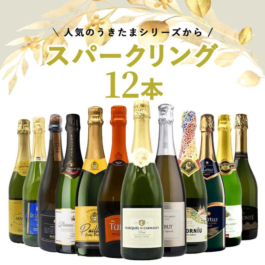 シャンパン・白ワイン5本セット未開栓詳細はお写真に 送料無料】うきたまシリーズ スパークリング12本 ワインセット
