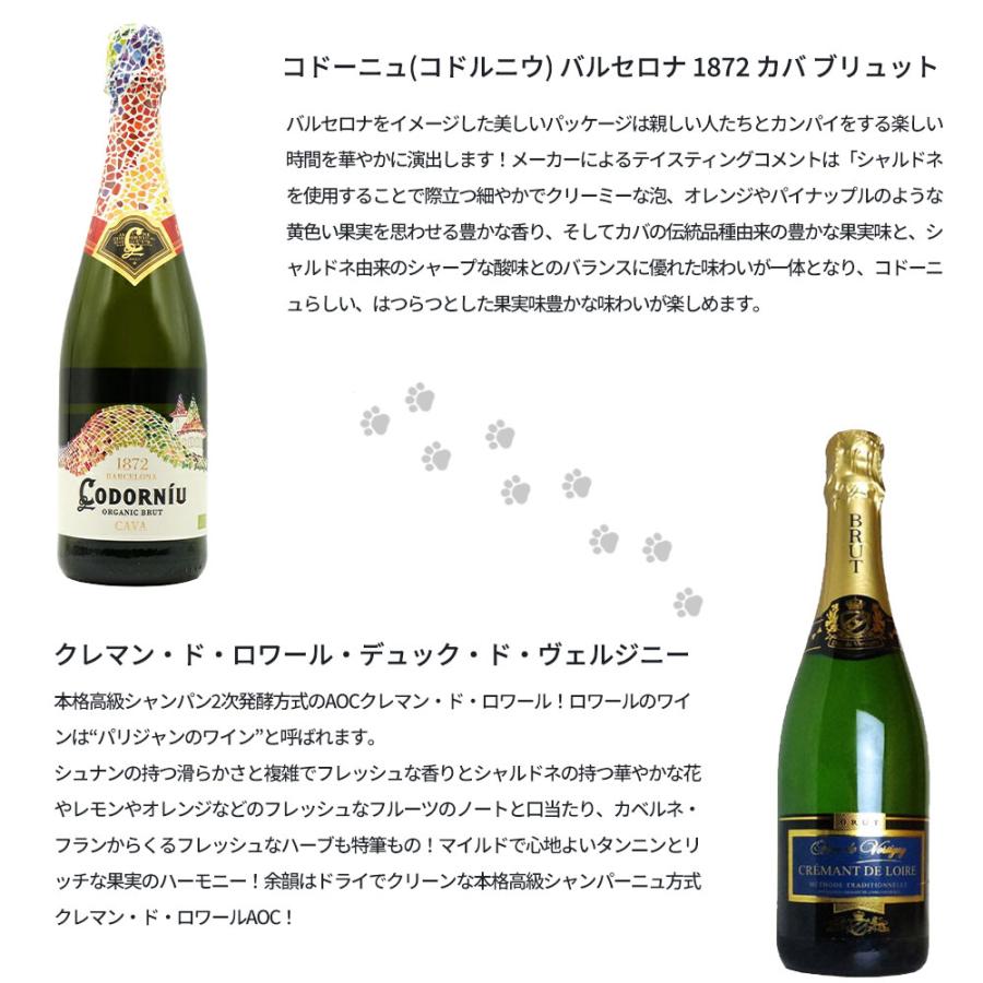 送料無料】うきたまシリーズ スパークリング12本 ワインセット