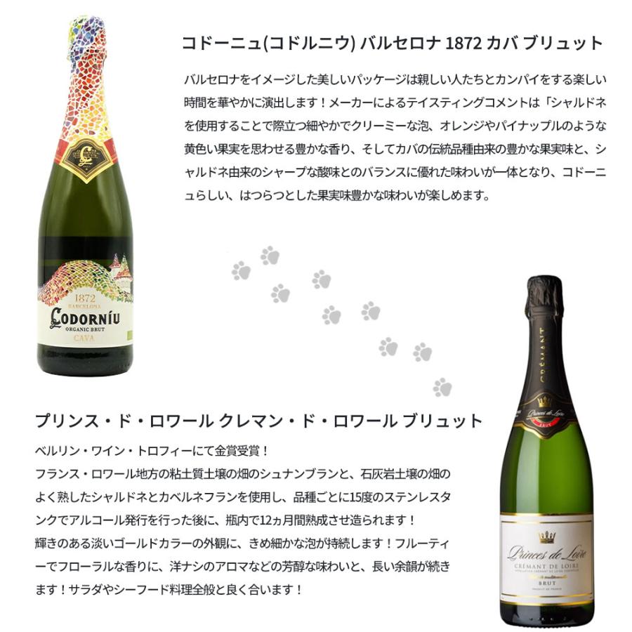 送料無料】うきたまシリーズ スパークリング12本 ワインセット