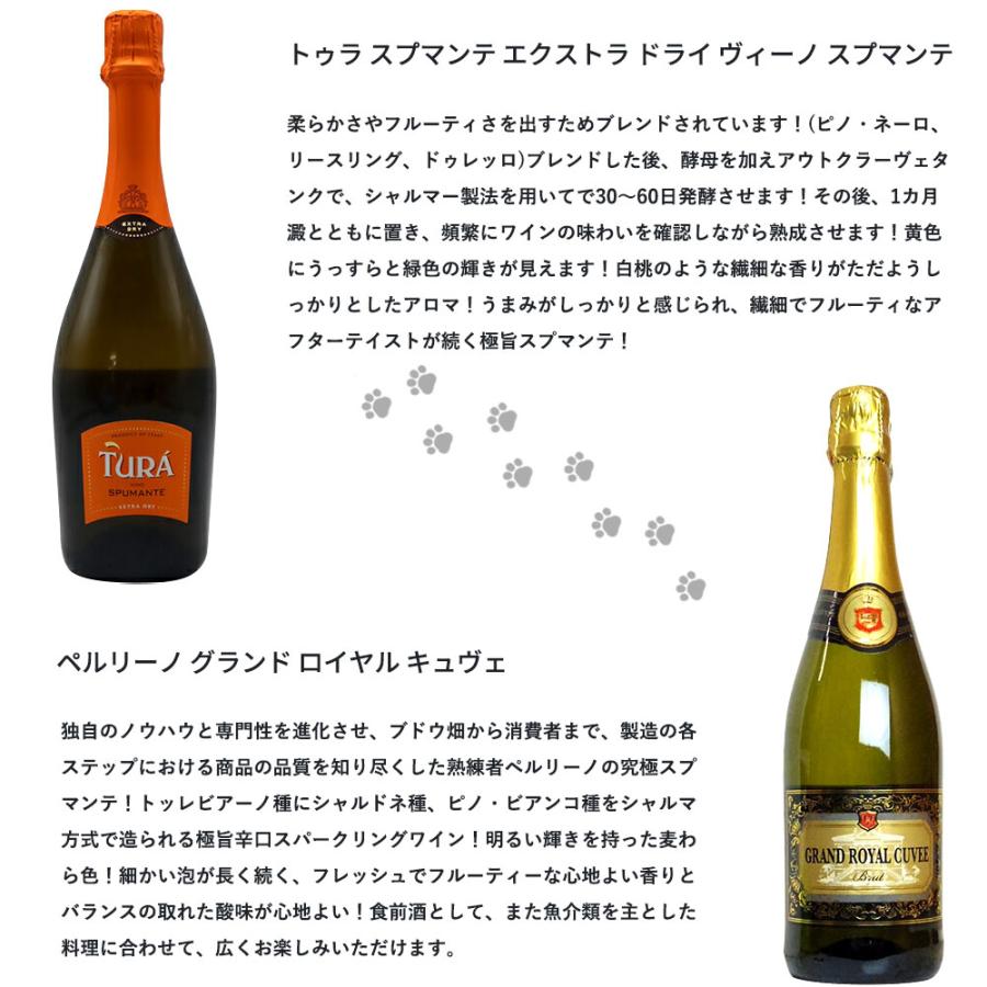 送料無料】うきたまシリーズ スパークリング12本 ワインセット