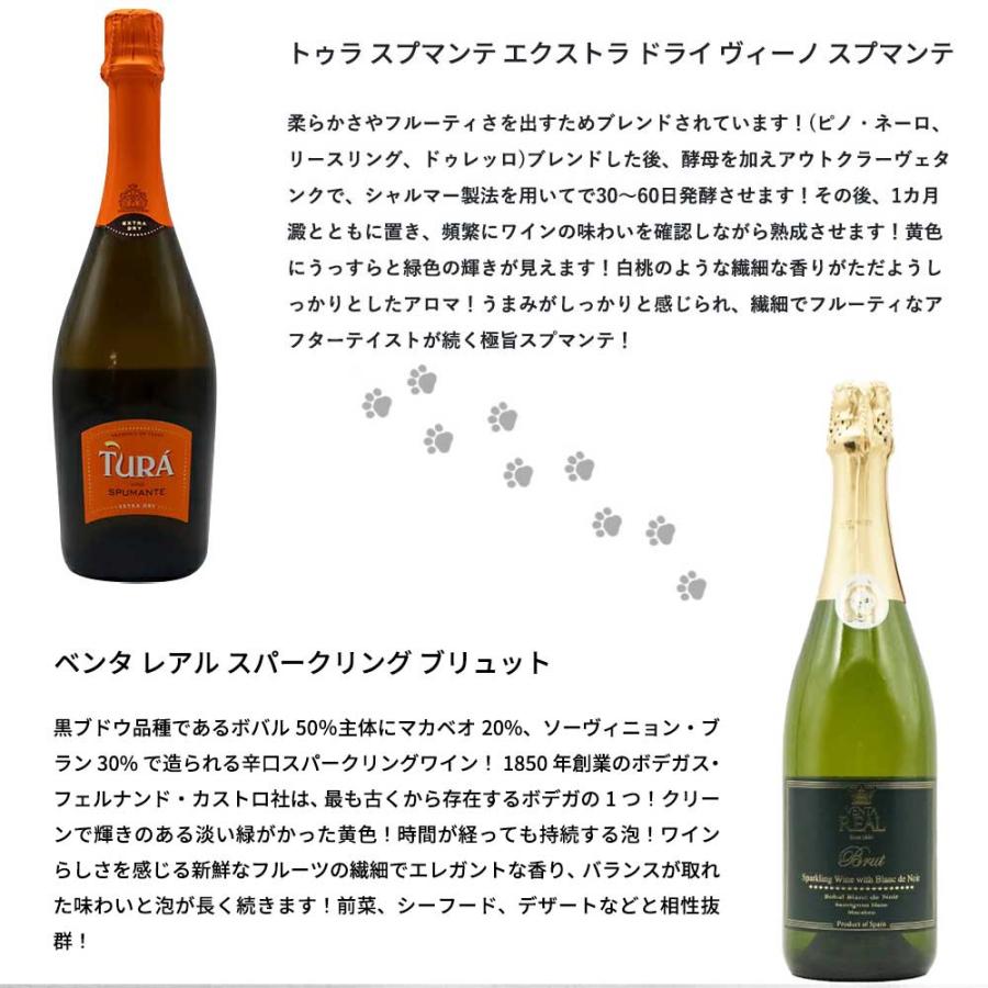 sparkling wine 12本 スパークリングワイン セット フランス スペイン 12本 白 泡 辛口