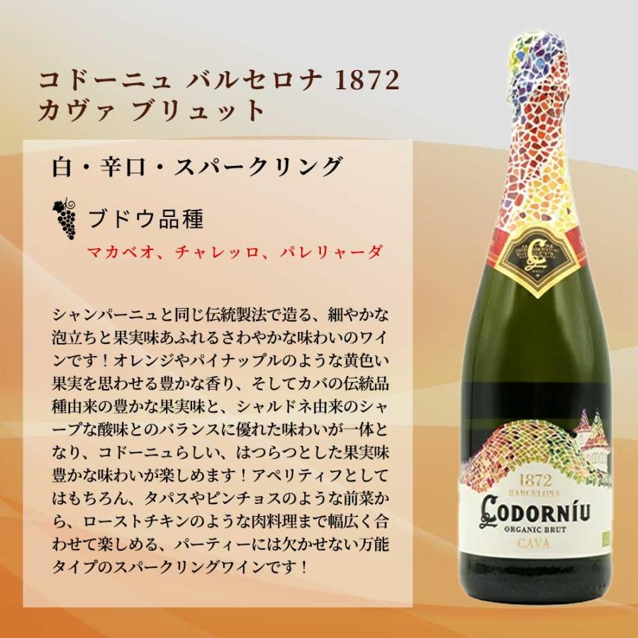 送料無料】お客様のお声から生まれた待望の贅沢辛口スパークリング