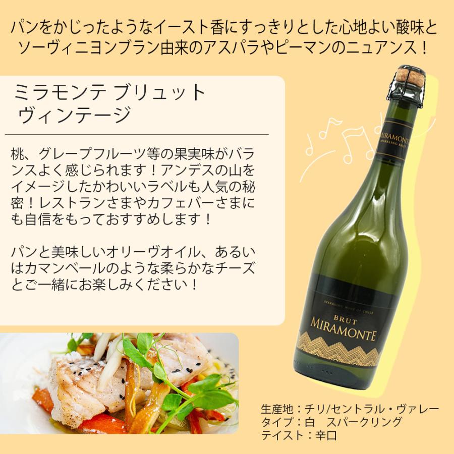 送料無料】高級メドック金賞入り！赤 白 泡が楽しめるうきうきワインの 