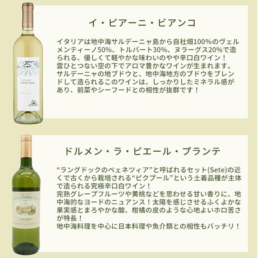 うきうき厳選 世界の白ワインが味わえる 極上辛口白ワイン スペシャル