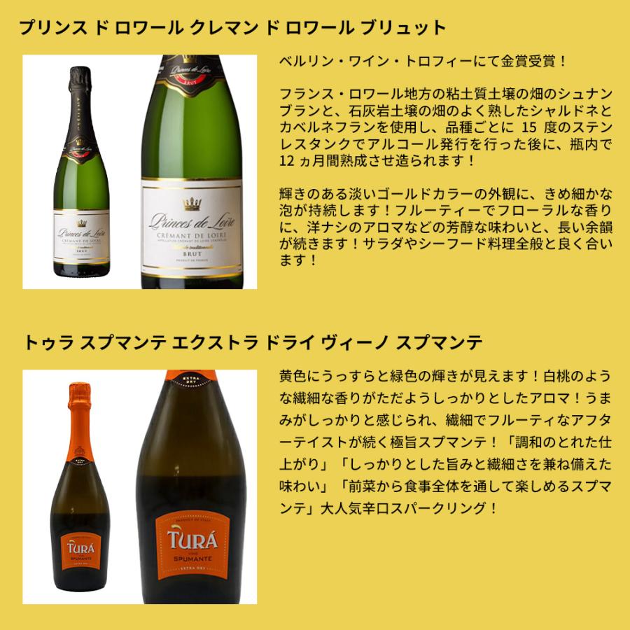 最強スパークリングワインセット 泡三昧！辛口スパークリングワイン9本