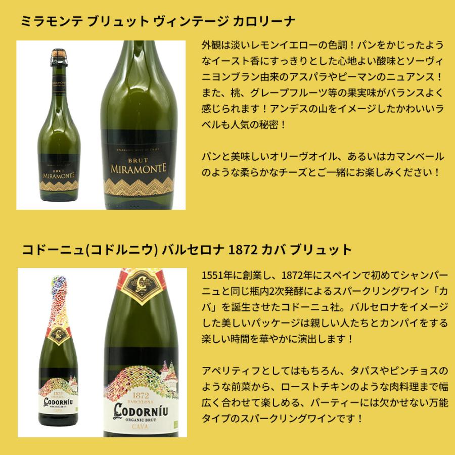 最強スパークリングワインセット 泡三昧！辛口スパークリングワイン9本