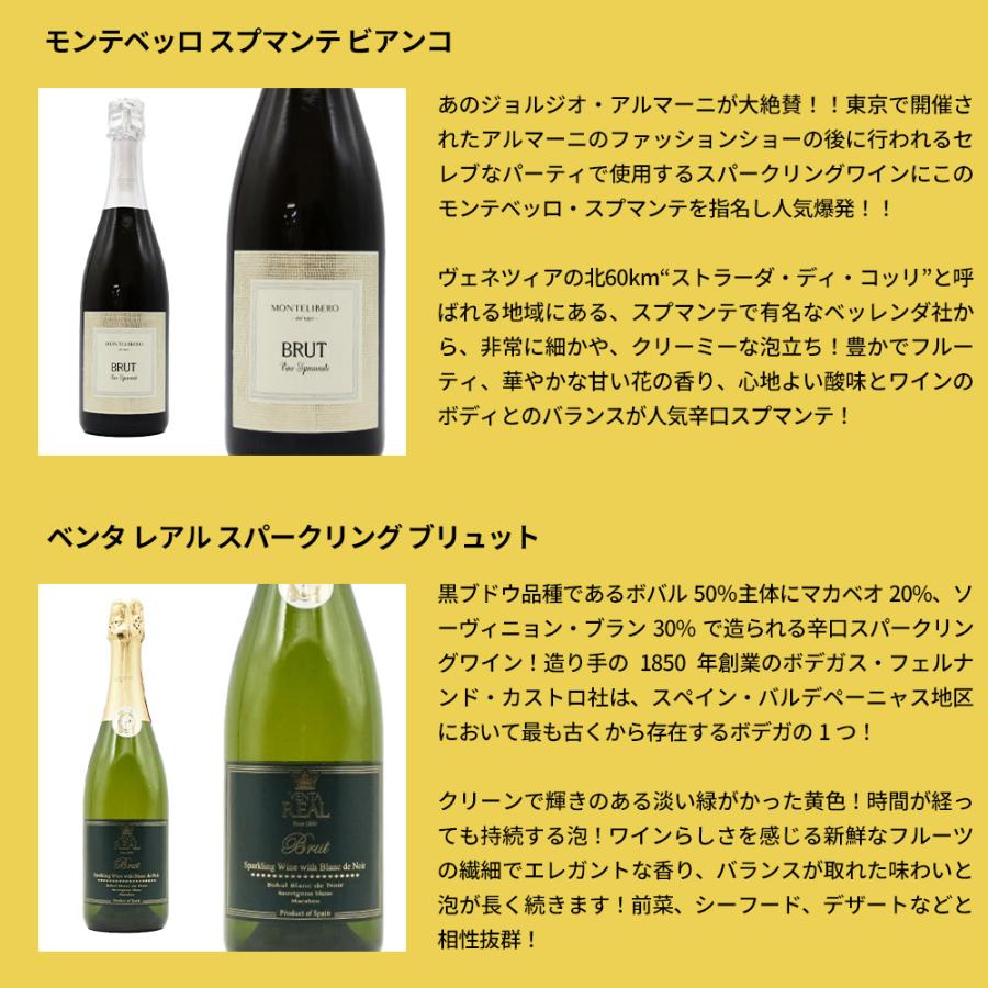 最強スパークリングワインセット 泡三昧！辛口スパークリングワイン9本