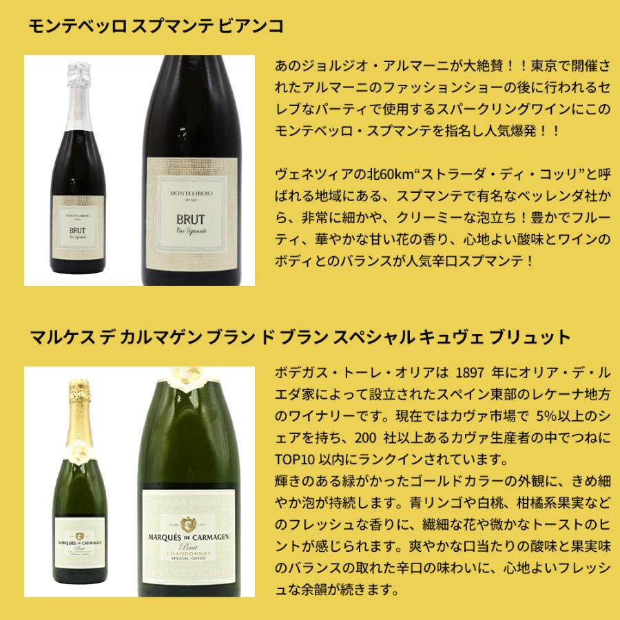 最強スパークリングワインセット 泡三昧！辛口スパークリングワイン9本
