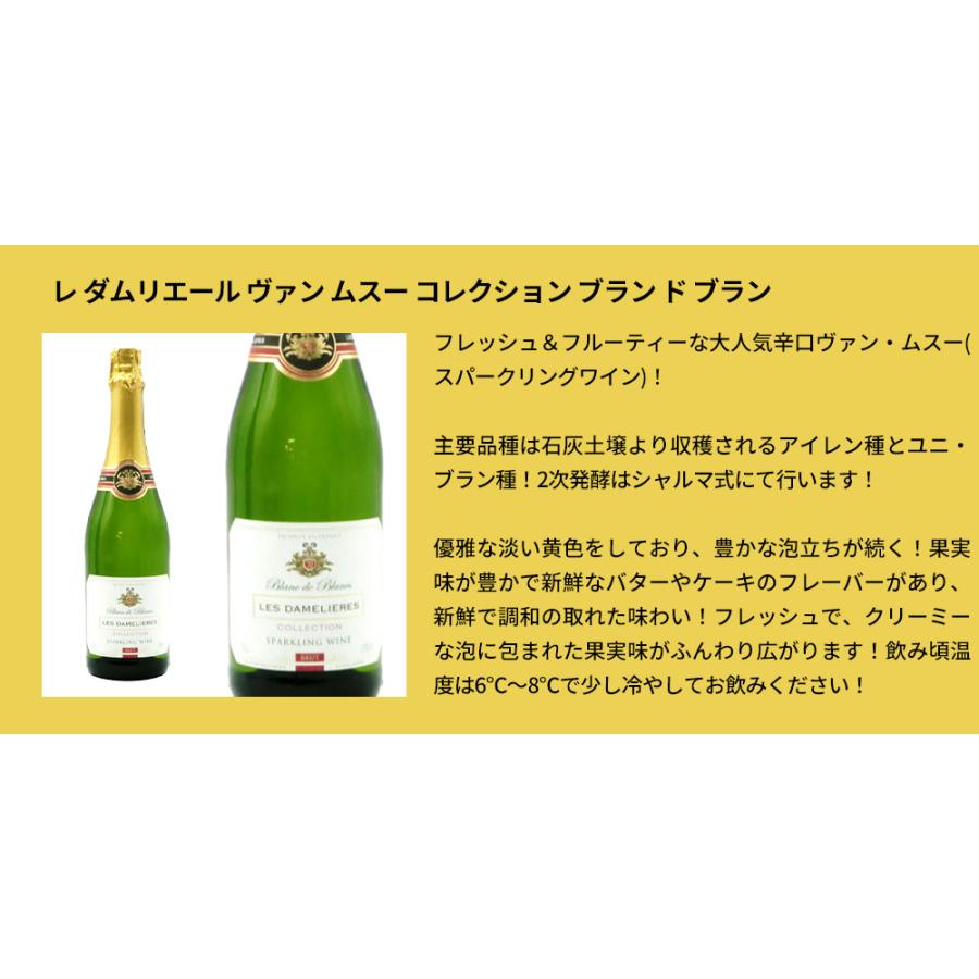 最強スパークリングワインセット 泡三昧！辛口スパークリングワイン9本
