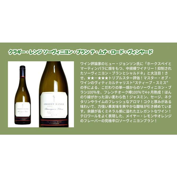 送料無料】高級ソーヴィニヨン ブラン(辛口白)飲み比べ5本セット