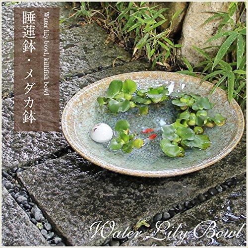 激安 古美術 骨董品 睡蓮鉢 メダカ鉢 柄杓 竹製 陶器 美術品 アンティーク Hlt No