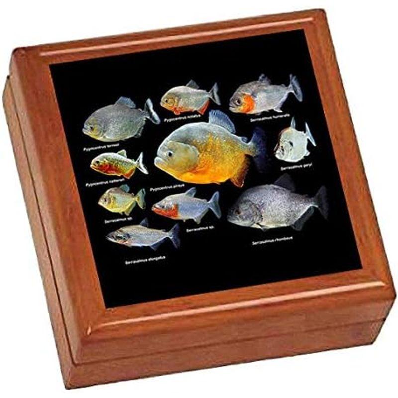 ピラニアたちの写真タイル付き小物入れ（Jewelry Box）（世界の熱帯魚シリーズ）｜winfieldhonten｜04