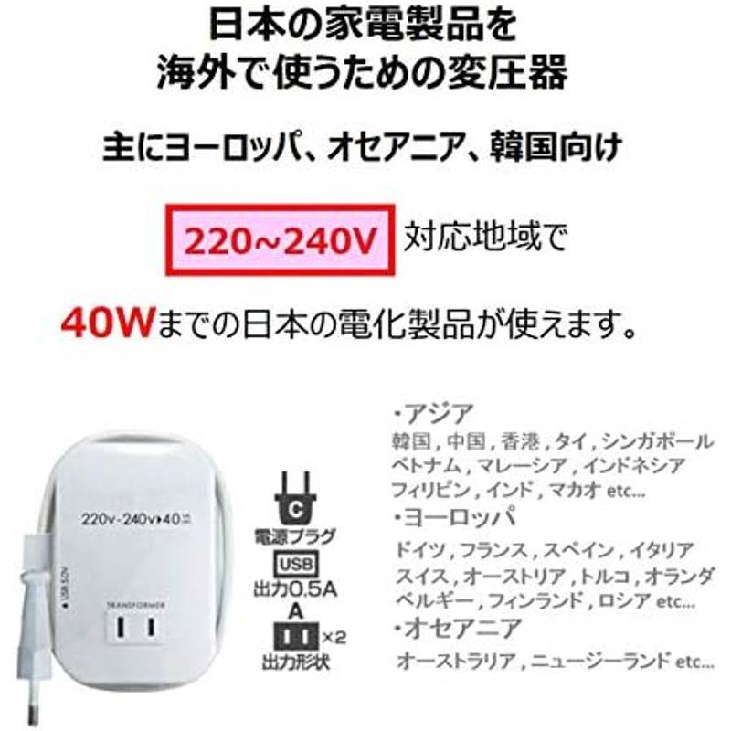 カシムラ 海外用変圧器 220-240V/100VA NTI-1002｜winfieldhonten｜07