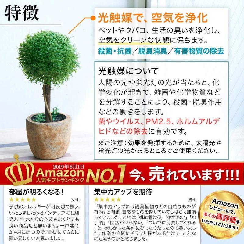 観葉植物 光触媒 キレイな空気を実感 人工観葉植物 フェイクグリーン｜wing-of-freedom｜08