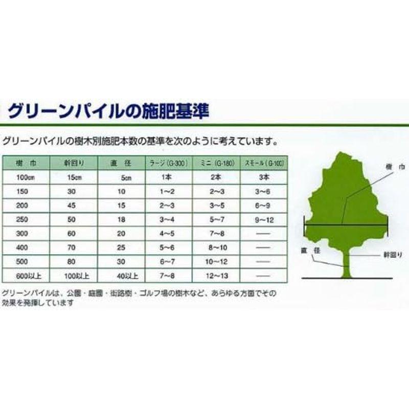 業務用グリーンパイル　ラージ300g（φ3x30cm）　50本　箱