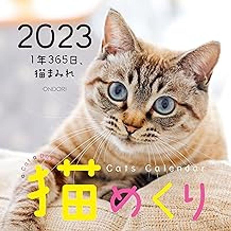 Cats Calendar 猫めくり: 1年365日、猫まみれ (カレンダー)｜wing-of-freedom｜02