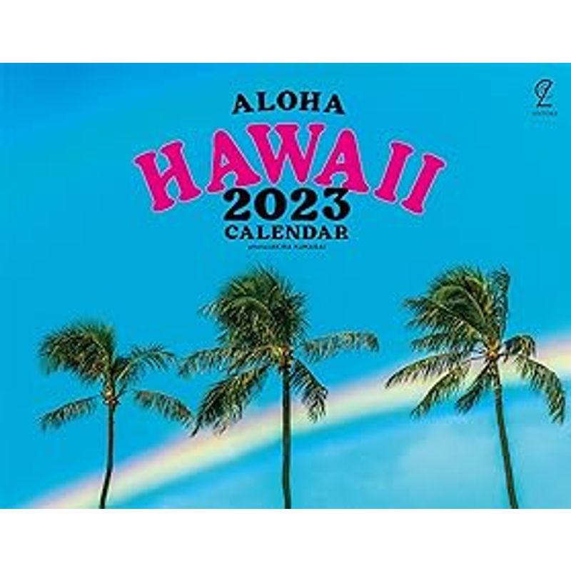 ALOHA HAWAII2023｜wing-of-freedom｜02