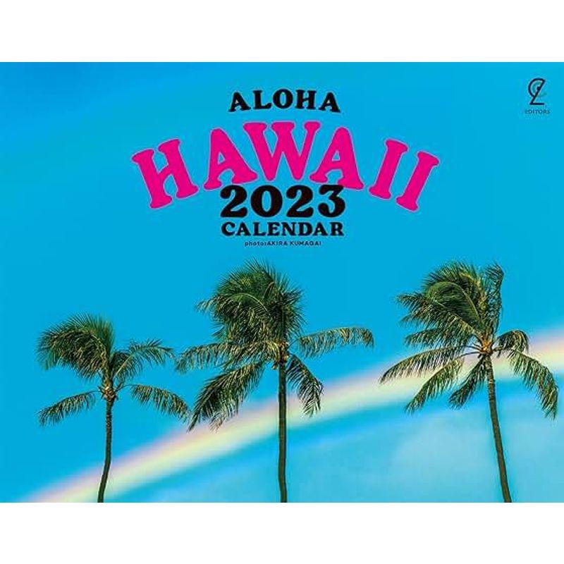 ALOHA HAWAII2023｜wing-of-freedom｜05