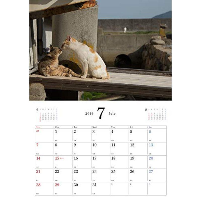 よりそい猫カレンダー2019 (カレンダー)｜wing-of-freedom｜05