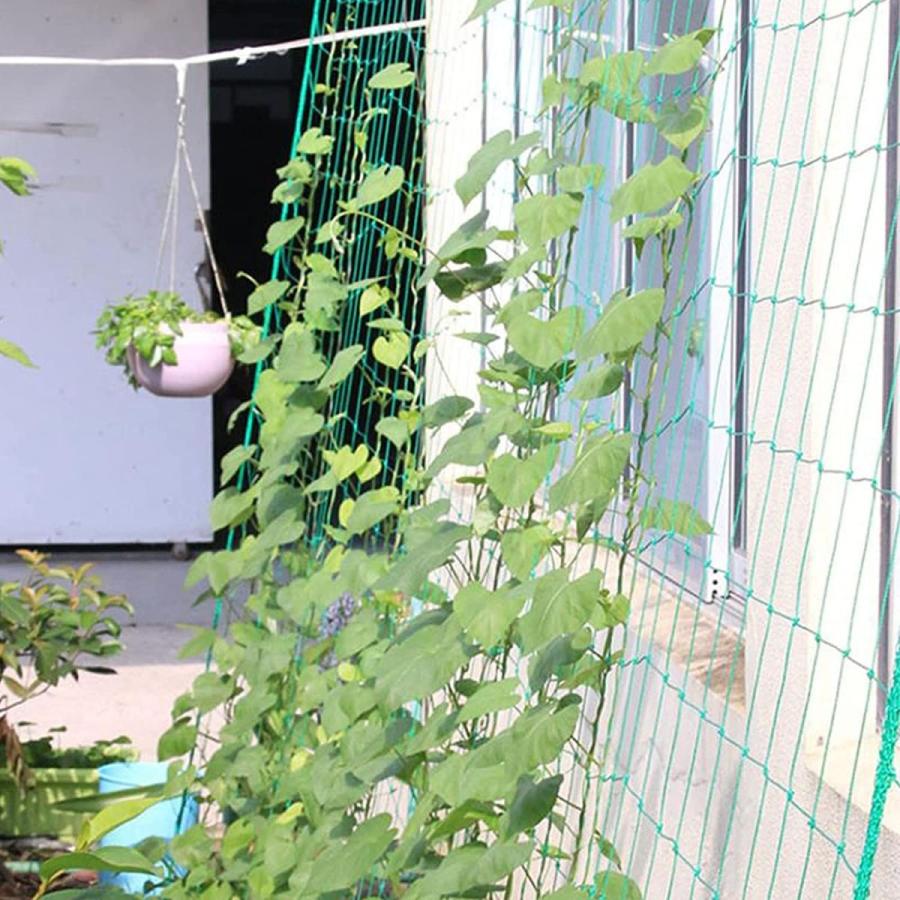 つる植物 ネット つる栽培ネット 園芸ネット かんたん ガーデニングネット 10cm角目 四隅取付ロープ付 3 6 耐久性 農業用 園芸用 ウィングトッポギ 通販 Yahoo ショッピング