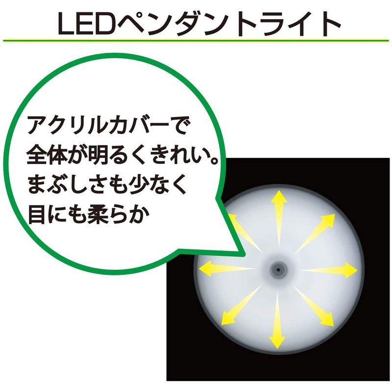 タキズミ LED 省エネ ペンダントライト 昼光色 ~ 8畳用 日本製 RV80071 