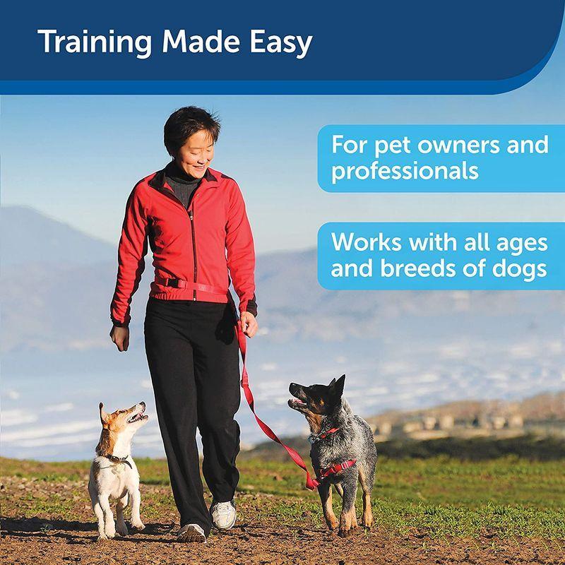 ★動作確認済み Treat & Train Remote Reward Dog Trainer 【D7982656021】(29071円)