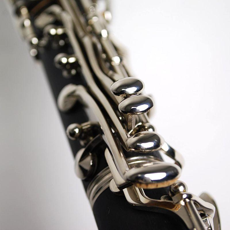 Kaerntner ケルントナー クラリネット KCL-27 (セミハードケース付き