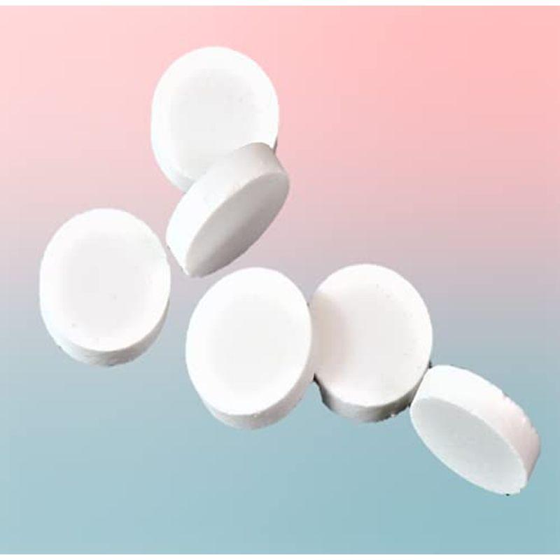 オープニング 大放出セール ドライフラワー 土台用丸形乾燥剤 １２個送料２００円 土台ホームの中に入れて乾燥持続 押し花作成キット Www Naprehab Com