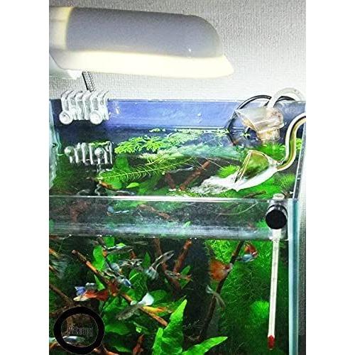 Petomy 熱帯魚 アクアリウム 水草 水槽 油膜取り フィルター ポンプ リリィパイプ スキマー 除去 サーフェース クリア ガラス 1 その他熱帯魚 アクアリウム用品 Vest Doctum Edu Br