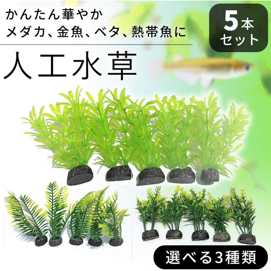 市場 水草 金魚に合う水草セット グッピー