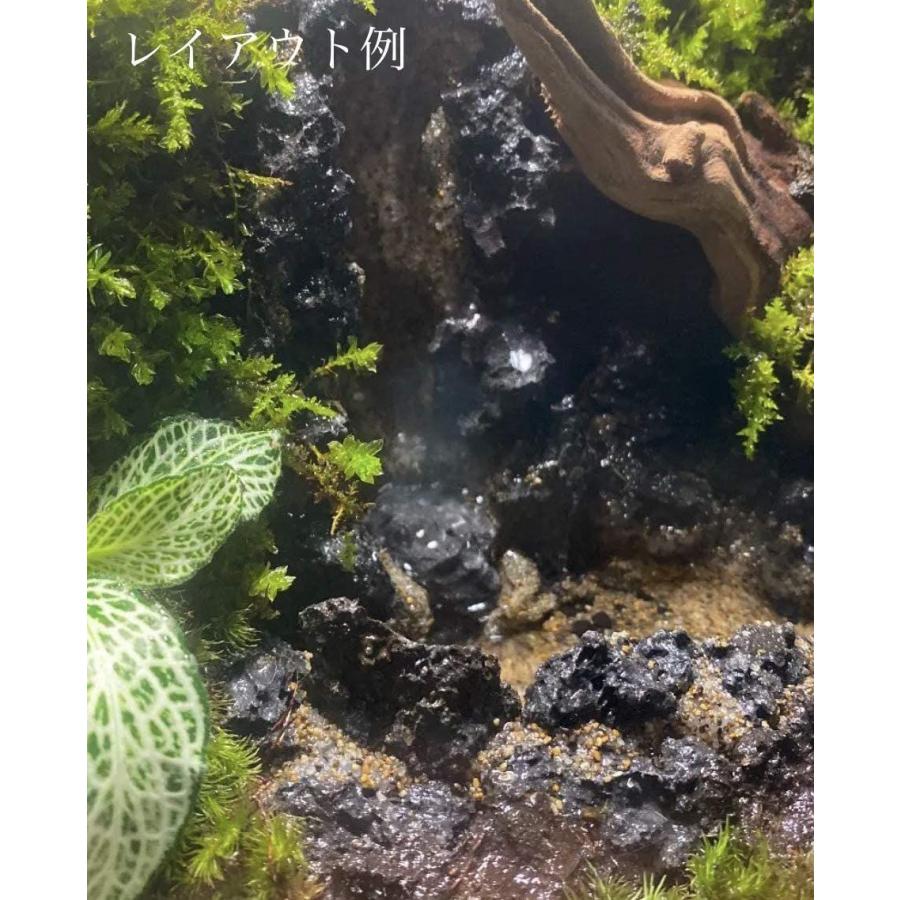 盆栽砂 富士砂 高濾過溶岩砂 500g 黒 ブラック 化粧砂 ソイル 水槽 テラリウム コケリウム パルダリウム 底床 細粒 苔玉 ウイングうどん 通販 Yahoo ショッピング