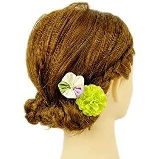 髪飾り 成人式 花 振袖 袴 ピンク 白 黄緑 緑 渋緑 紫 薄紫 ちり髪型 ヘアスタイル ヘアアレンジ ドライフラワー No 9 3600 人気新品入荷