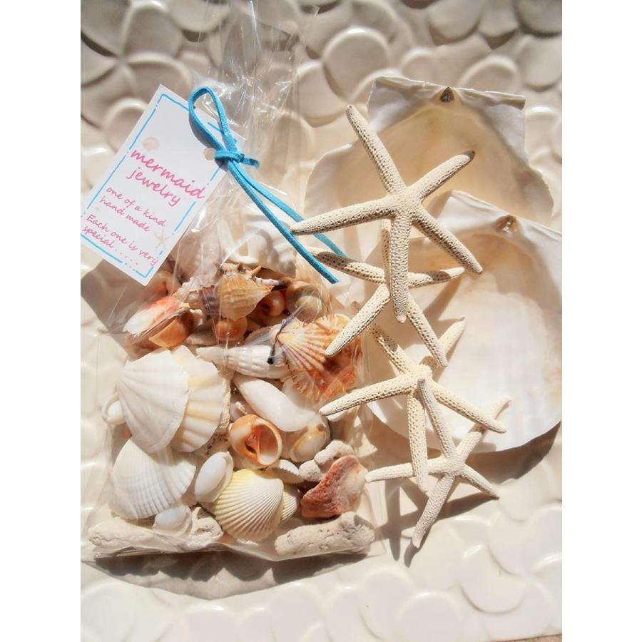 ａ品天然ヒトデ4pとホタテ2p 白いサンゴ 色々な貝殻セット ｂｉｇパック インテリア手作り素材に ウイングうどん 通販 Yahoo ショッピング