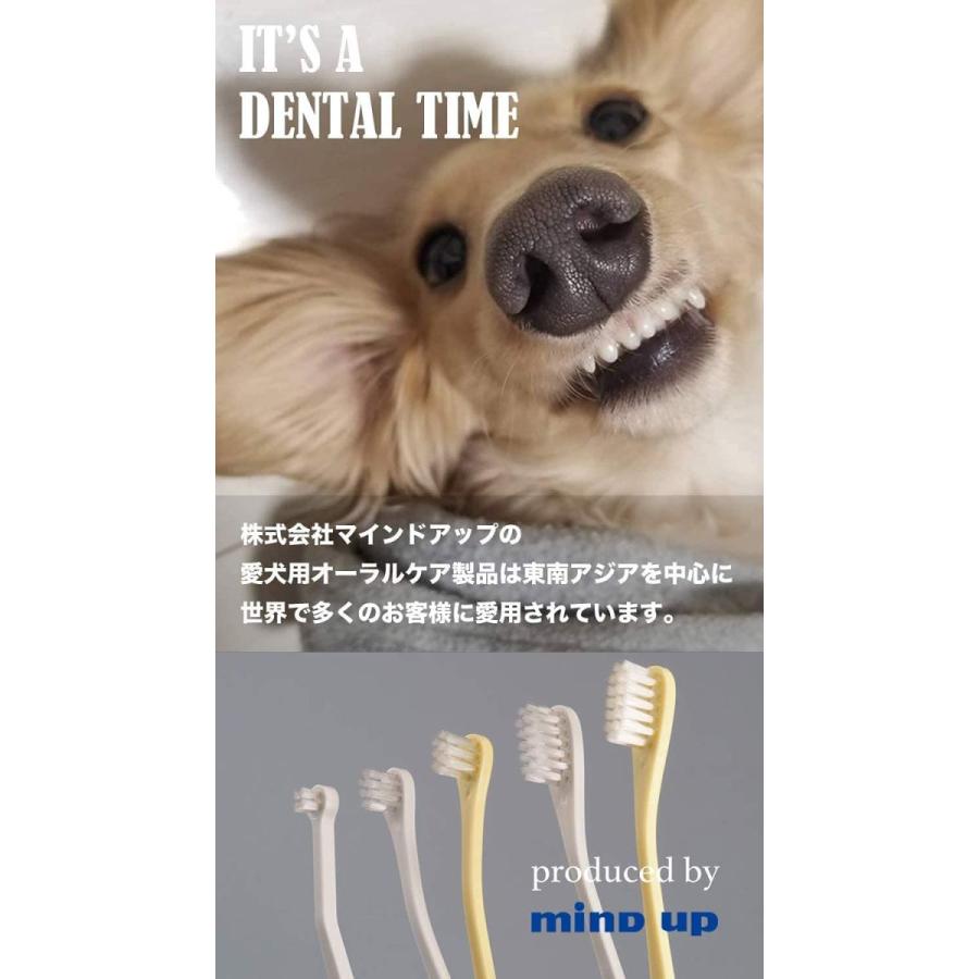 マインドアップ 犬口ケア オーラルヘルスパウダー 口腔衛生サポート 1 5g 30包入り 1包当たり60億個の乳酸菌配合 腸内環境 ラク 鉢底石 軽石 Www Mantraman Com Mx