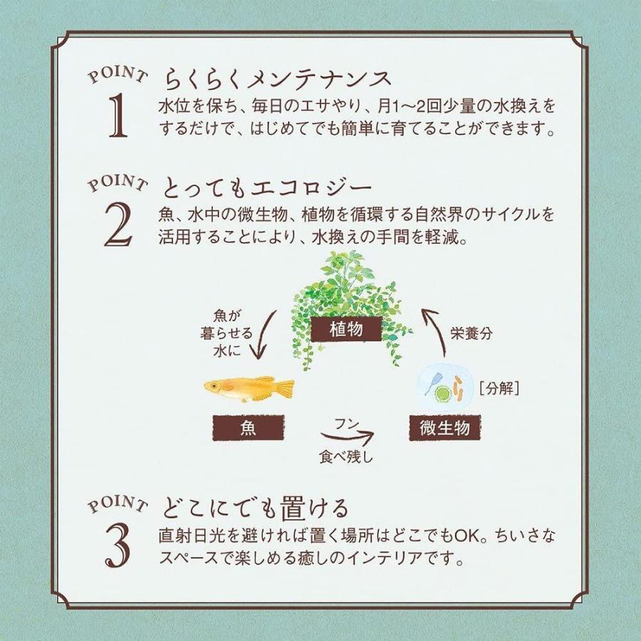 超大特価 アクアテリア N160 金魚用 ガラス水槽と水耕栽培プランター 水槽おそうじ手袋セット 保証書付 Turningheadskennel Com