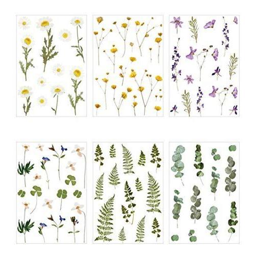 Kamizuki シール 雛菊 紫花 白い花 クローバー 緑の植物 葉 手帳シール スッテカー Diy 手作り