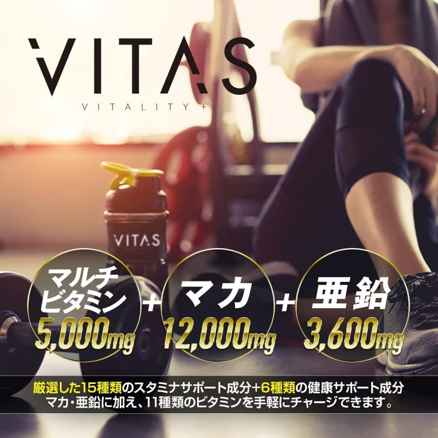 人気激安) VITAS バイタス VITA POWER ビタパワー マカ 亜鉛 マルチビタミン 12種類の栄養機能食品 120粒 日本製 VITAS バイタス ビタパワー2個セット マルチビタミン マカ 亜鉛