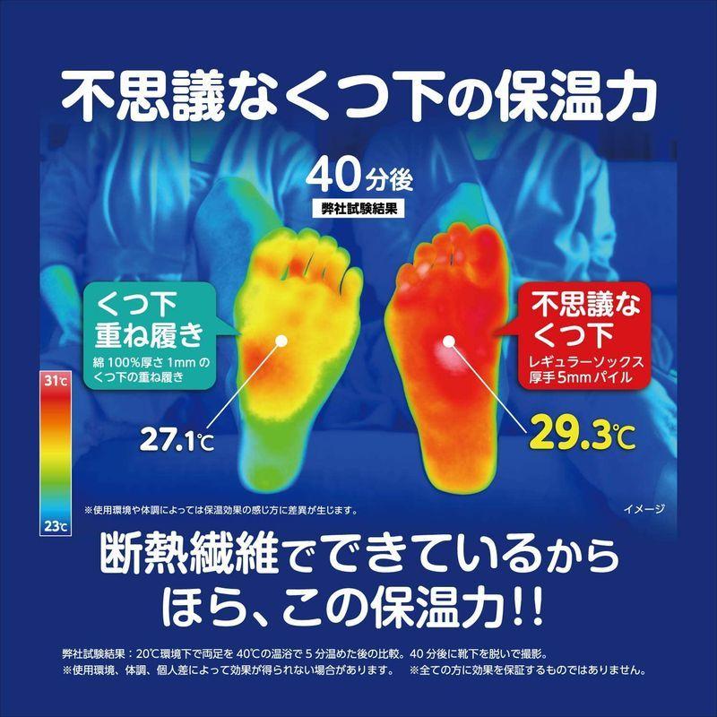 希望者のみラッピング無料】 桐灰化学 足の冷えない不思議なくつ下