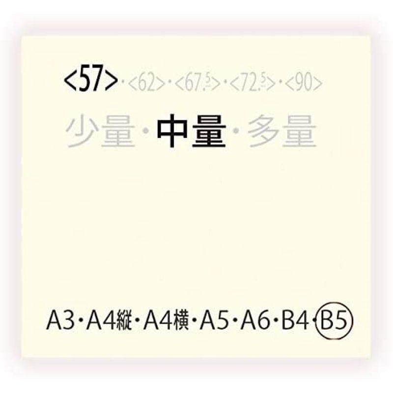 1885円 最安値 ササキ SASAKI 新体操 レディース 練習用 Yバックロングトップ ライラック JO 7042