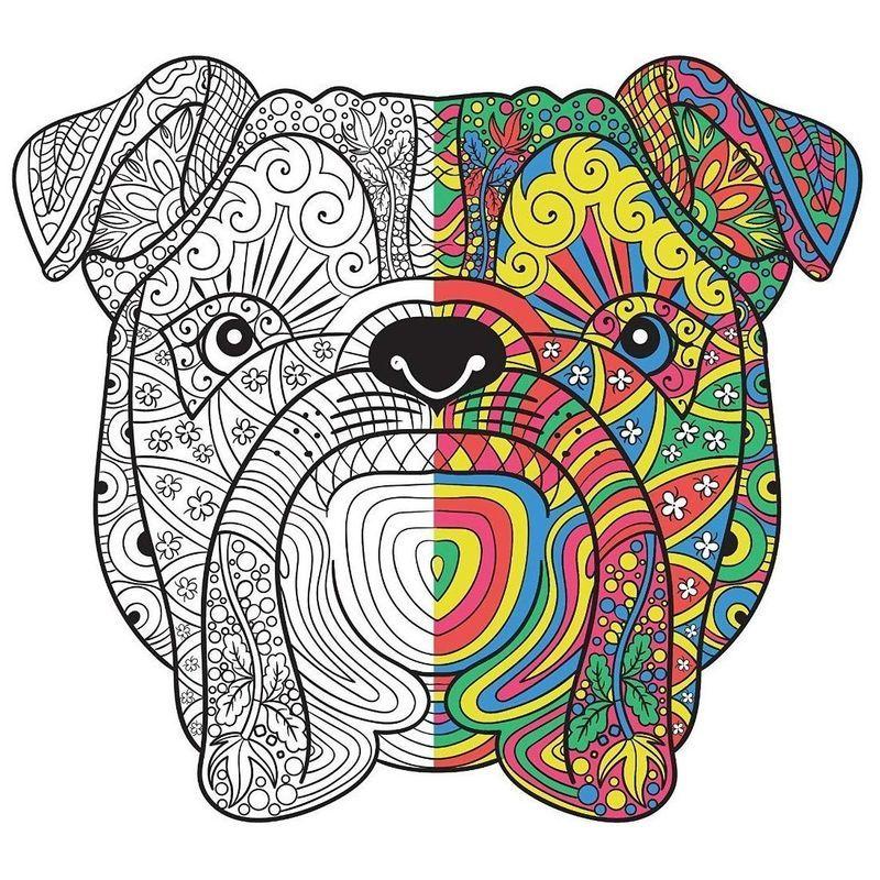 Creatively Calm Studios (クリエイティブリー カーム スタジオ) 大人用塗り絵セット - 大人用塗り絵ブック3冊 - Calm Studios クリエイティブリー カーム スタジオ 大人用塗り絵セット 大人用塗り絵ブック3冊