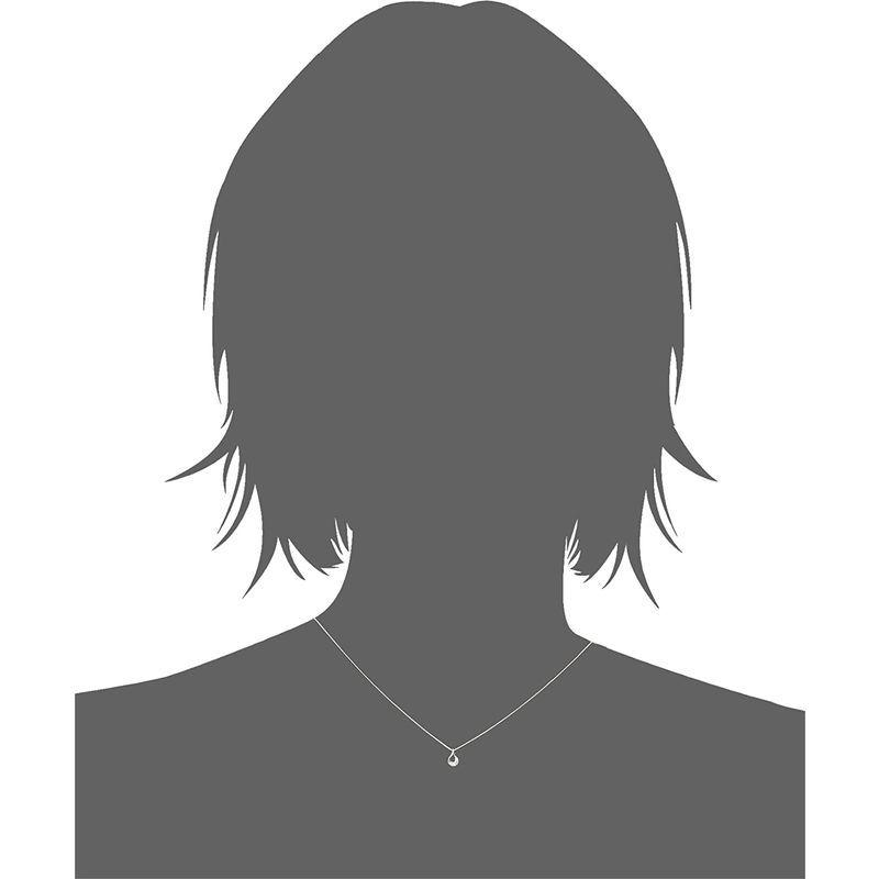 ディーコレクション D-COLLECTION プラチナダイヤモンドネックレス0.05ctWAO使用 DAPN-512PT COLLECTION プラチナダイヤモンドネックレス0 05ctWAO使用 DAPN 512PT