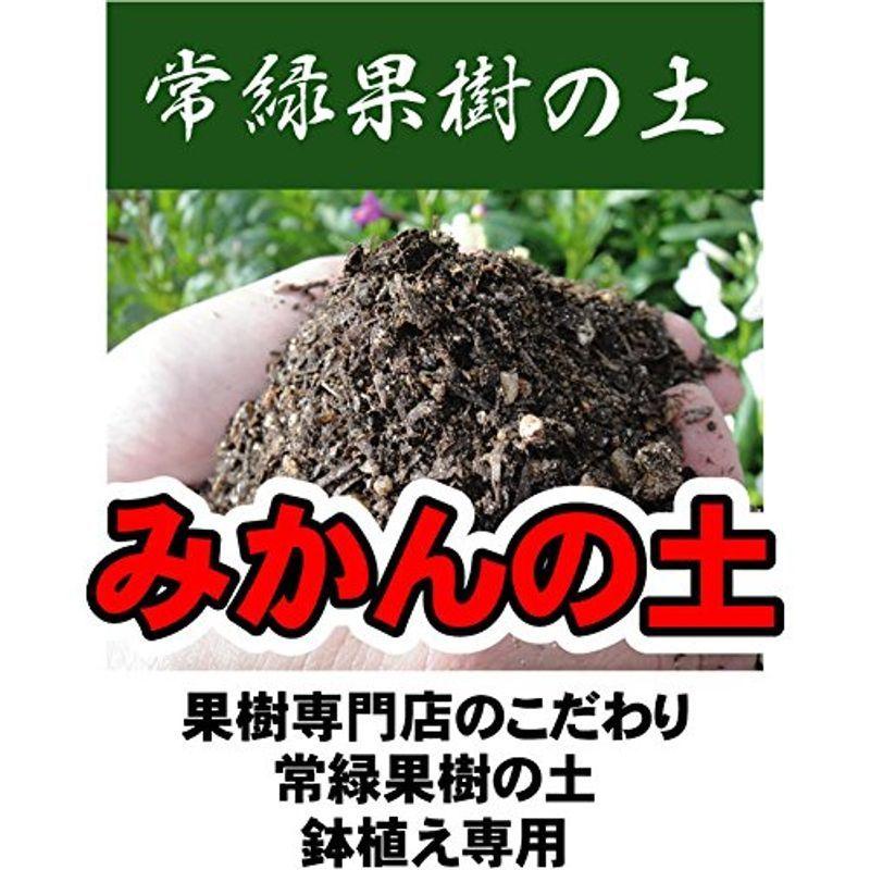 鉢植え専用 みかんの土 肥料入り 14l 資材 常緑果樹専用 鉢植え専用 培養土 ミカン 蜜柑 翼だよ 通販 Yahoo ショッピング