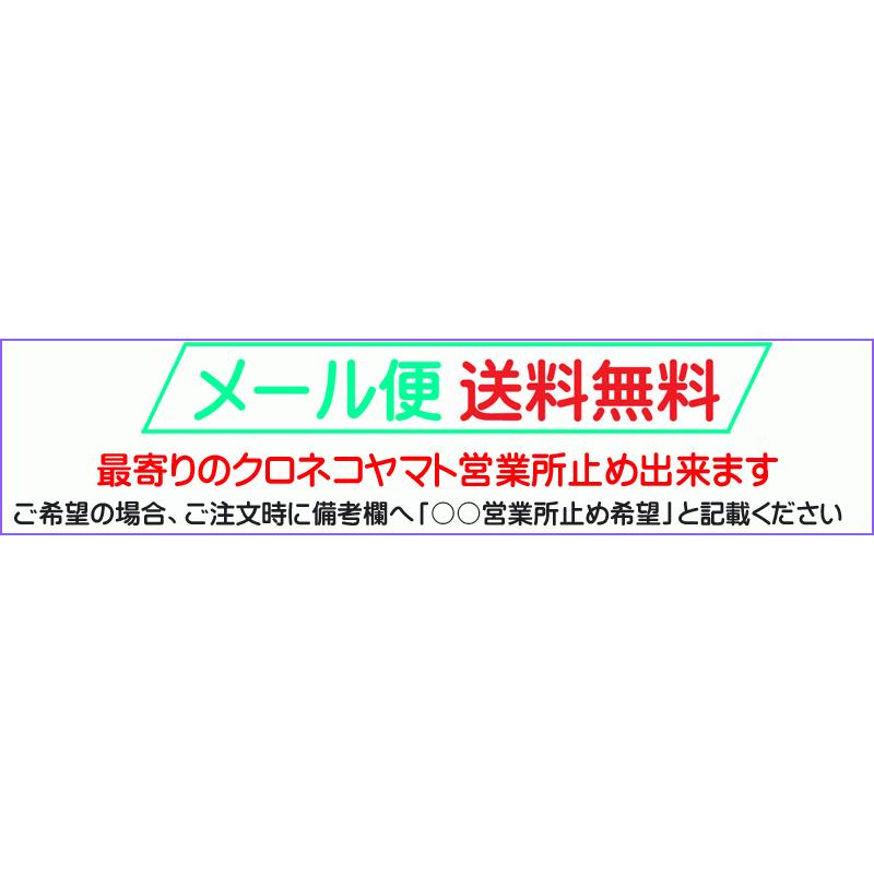 送料無料2〜4日後到着 ボンテージ コスチューム エナメル ソフト