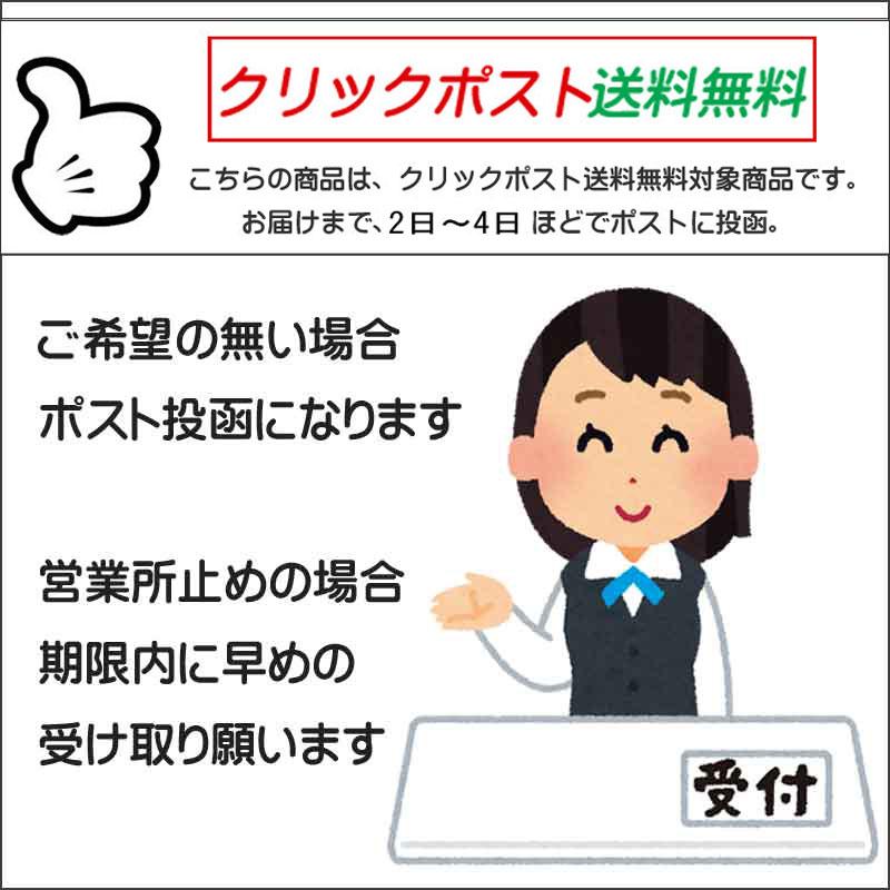 送料無料2〜4日後到着 コーラス ブラウス フォーマル ブラウス オフ白 演奏会 ＭからXLサイズ 裏地付き スタンドブラウス 襟元人工真珠 かぶりタイプ オフ白｜wing12｜07