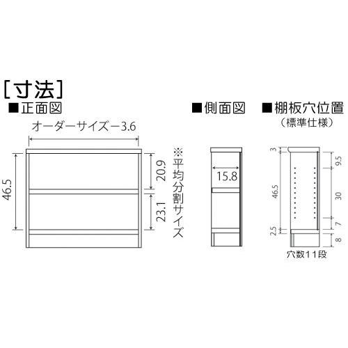 カウンター下収納 高さ６０ｃｍ幅４５〜５９ｃｍ奥行１９ｃｍ厚棚板（棚板厚み2.5cm）百科事典ボード 1cm単位オーダー ダイニング収納片付け｜wing1｜03