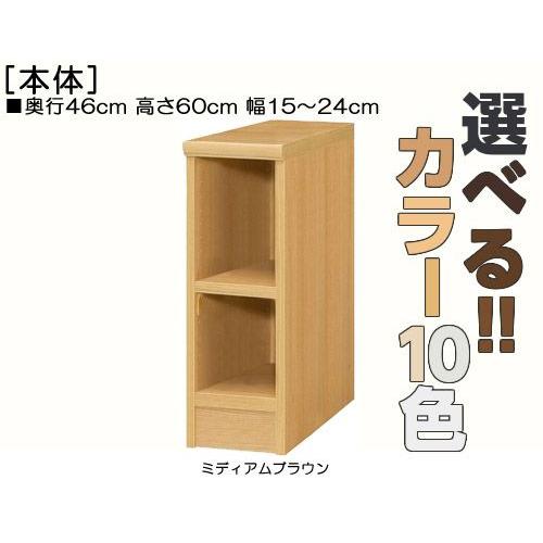 隙間収納　高さ６０ｃｍ幅１５〜２４ｃｍ奥行４６ｃｍ厚棚板（棚板厚み2.5cm）教科書ボード　10色　居間収納片付け