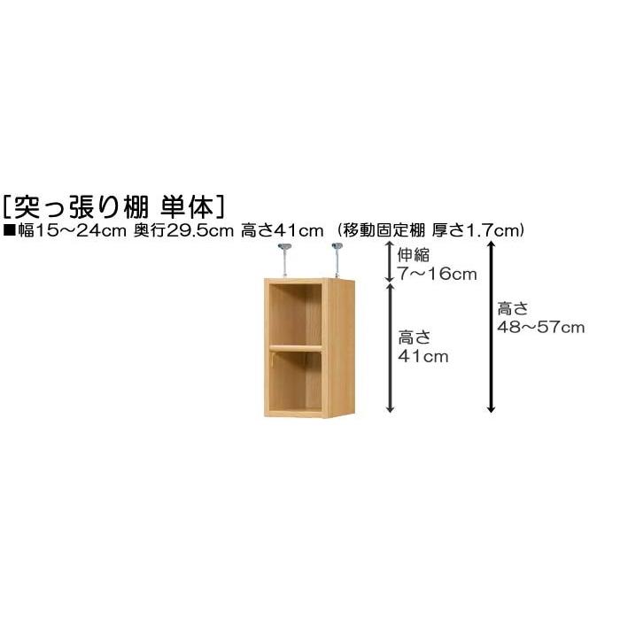 天井収納 上棚(高さ調整可) 標準タイプ 高さ４８〜５７ｃｍ幅１５〜２４ｃｍ奥行２９．５ｃｍ(本体奥行３１ｃｍ用)｜wing1｜02