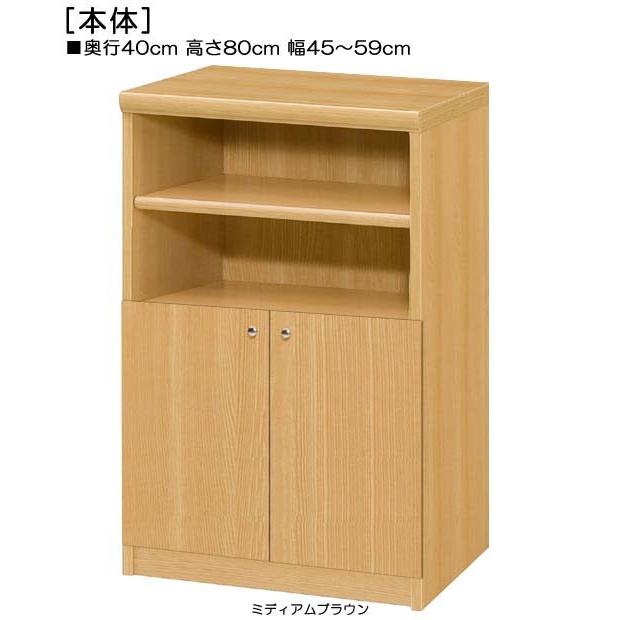 下部扉 標準棚板 扉付窓下キャビネット 高さ８０ｃｍ幅４５〜５９ｃｍ奥行４０ｃｍ 下扉高さ41.5cm ゲームソフト棚 F★★★★ リビング 整理